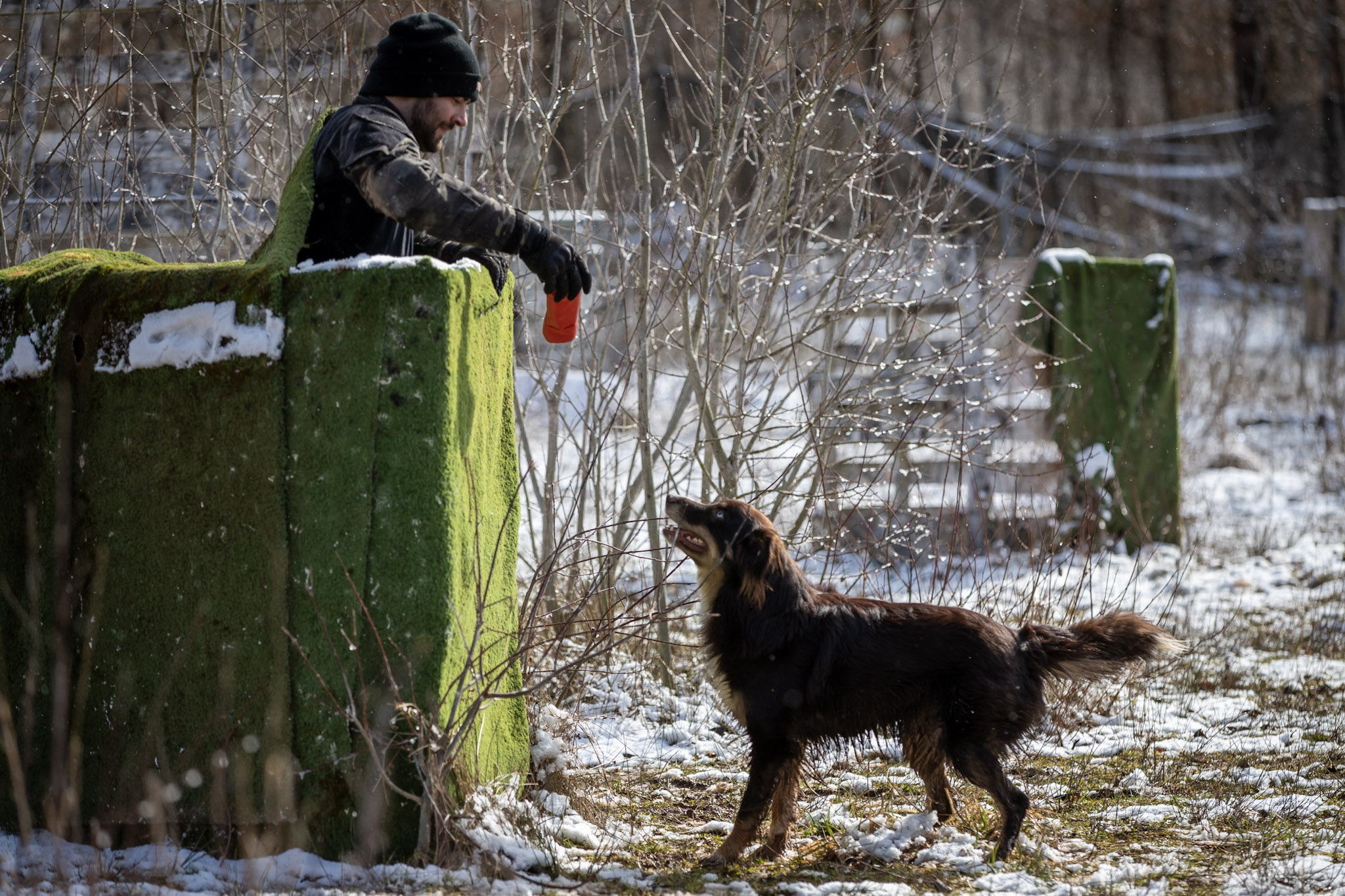 Training mit vier Pfoten